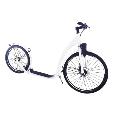 2024 Two Wheel Portable Foldable Scooter Adult Scooter Footbike Single Speed Hybrid Bike with V Brake System