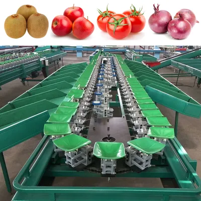 Industrial Automatic Fruit Grader Machine Auto Small Scale Fruits Weight Sorter Classify Sorting Grading Line for Sale