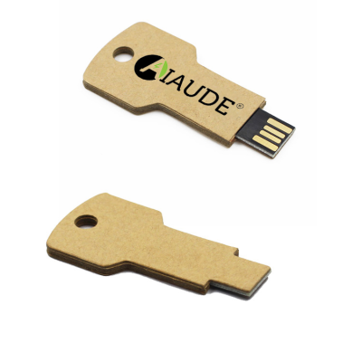 OEM Paper Usb Keys 3.0 Key Shape Pendrive  8gb 128 Gb Oem Low Price Card Type Usb Flash Drive Recyclable Flash Memory Card