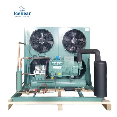ICE BEAR 220V 23HP Small HP Semi-Hermetic Piston Air-Cooled Condensing Unit for Large Cold Storage and Logistics in America