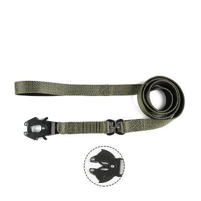 Custom High-End Nylon Dog Leash Luxury Design Personalized Pattern Logo Fashionable Adjustable High Quality Metal Accessories