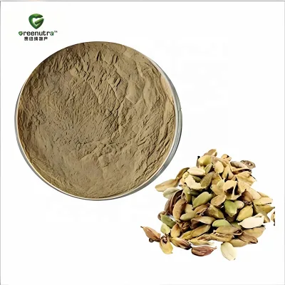 Premium Cardamom Seed Extract Powder Health Food Grade Solvent Extracted for Flavoring