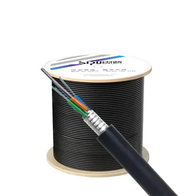 SIPU Factory Hot Sale Custom Length/Color/Logo High-Speed Transmission Waterproof & Flame Retardant Fiber Optic Cable Internet
