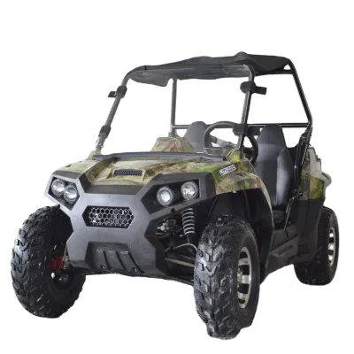 2024 300cc Utv Mini Car Buggy