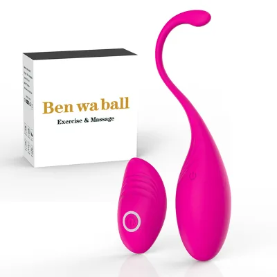 Egg Vibrator with Remote Control for G-Spot Stimulation Vibrating Eggs Sex Toys for Women with 10 Vibration Modes