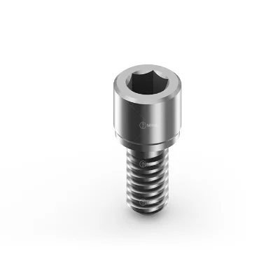 Anthogyr Dental Fixation Multi-Unit Screw