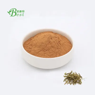High Quality Schizenopeta Extract Schizonepeta Tenuifolia Cat Nut Extract Powder Nepeta Cataria Extract