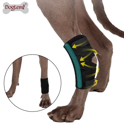OEM Eco-Friendly Luxury Pet Supplies Protective Pet Training Dog Leg Brace with Canine Rear Hock Knee Support and Safety Straps