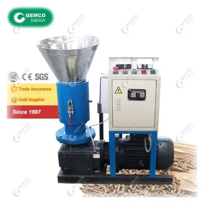 Wholesale Pice Hardwood Rice Husk Biomass Mini Small Pellet Making Machine for Sawdust Farm Agricultural Waste EFB Paper Straw
