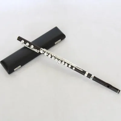 Factory Price Hot Sale Wholesale Study Level High Grade Cheap Beginner New Type Style Good Quality Child Colorful Ebony Flutes