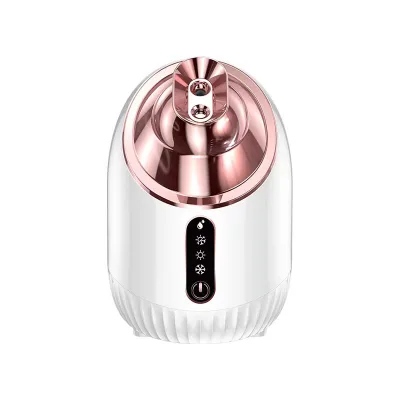 Popular Design Nano Hot and Cold Dual Spray Facial Steamer Face Stramer