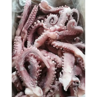 Best Quality Seafood Landfrozen Peru Squid Tentacle for Sale