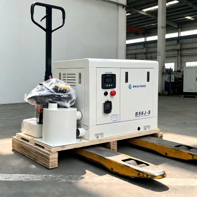 Offshore Working Platforms Use 50HZ 3000RPM 115V-230V 5.5KW 6KW Single Phase Marine Diesel Generator Set