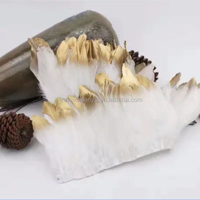 Factory Wholesale Multi Colors Stock Golden Tipped Goose Trim for Dress Garments