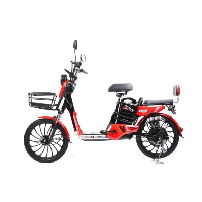 Electric Cargo Bike 48V 20 Inch Rear Hub Motor Steel Frame Front and Rear Drum Type 3 Speed