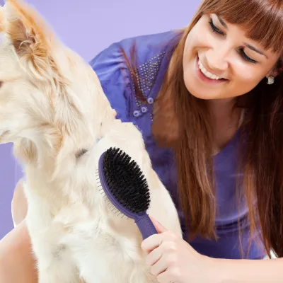 Hot Sale Double Sided Plastic Dog & Cat Brush Promotes Healthy Coat & Grooming Shedding & Massaging for Loose Hair & Detangling