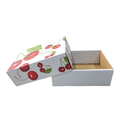Cheap price Fruit packaging box customized design packaging box corrugated paper