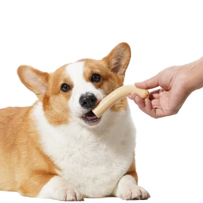 Cat Dog Treats Organic Sugar-Free Protein-Rich Meat Ham Sausage Cat Dog Snack All Life Stages Joint & Skin & Coat Health 15g*30