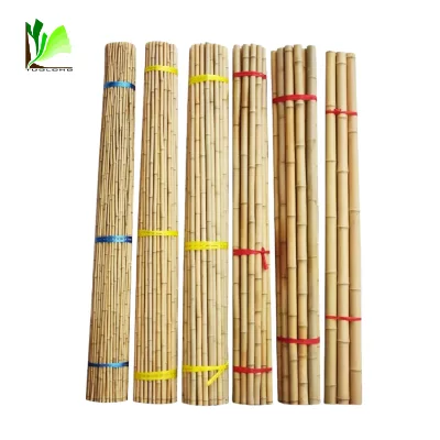 Eco-friendly Wholesale High Quality  Bamboo Raw Cane for Plant Support