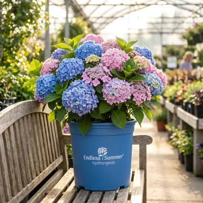 Flexible Blow Molded Plastic Gallon Pots for Economical Greenhouse Applications