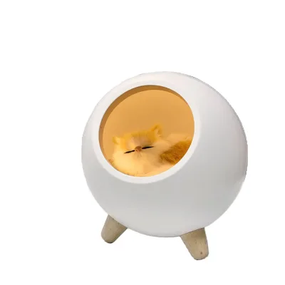 Evermore Modern Rechargeable Desk Light Cute Bedside Night Light Usb Charging Touch Reading Lamp