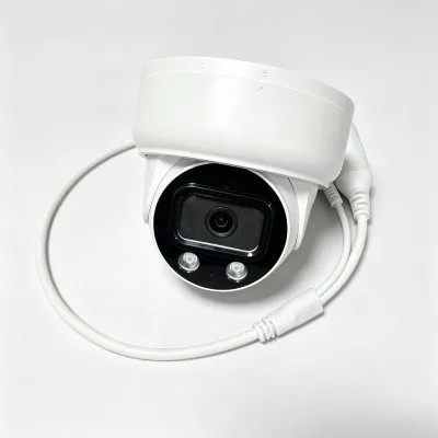 Outdoor Mini 2MP IP PoE Dome Security Camera With Mic/Audio Turret Camera Outdoor With Human Detection Metal Sphere