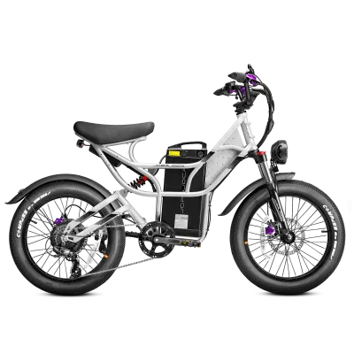 Eahora Cupid 1000W Electric Bike 48V 30Ah Battery Long Range 110Miles 30MPH 20*3'' Puncture Proof Tires Electronic Smart Type
