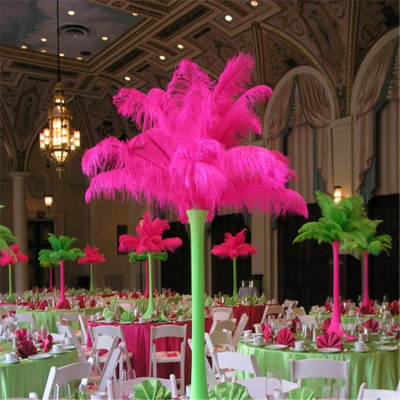 Wholesale Bulk Huge Natural Dyed Ostrich Feathers for Wedding Decoration