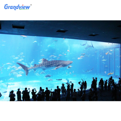 Large Round Acrylic Shark Aquarium Free Fish tank