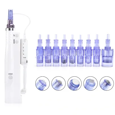Professional Meso Microneedling Derma Pen with Liquid Mesotherapy Hyaluronic Serum Injector Microneedling Professional