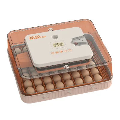 For Dual Power 56H Small Size Automatic Humidity Control Bird Chicken Ostrich Turkey Egg Incubator with Tray 220V