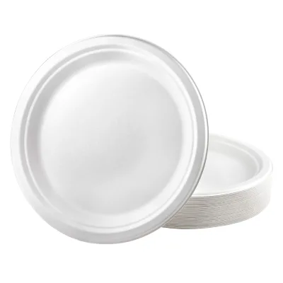 White 100% Eco-friendly Biodegradable Packaging Plates 6 7 8 9 10 Inch Corn Starch Disposable Compostable Dishes Parties Travel