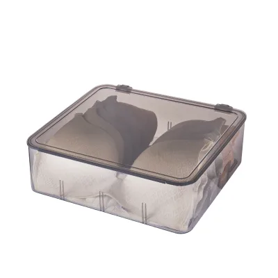 Modern Design Underwear Storage Box for Bedroom Wardrobe Youth School Changing Room Close-Fitting Clothing Storage-Wholesale