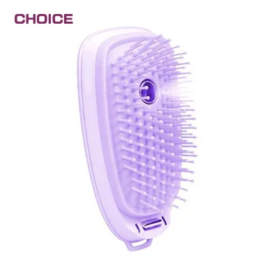 Most Popular Professional Mini Ionic Fast Electric Steam Hair Straightener