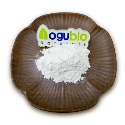 Health Supplements Natural Sesamin Powder Bulk Sesamin 99%