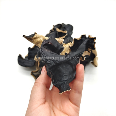 China Supplier Machine Dried White Black Fungus Dried White Black Fungus