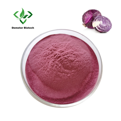 High Quality Natural Purple Cabbage Powder Red Cabbage Powder
