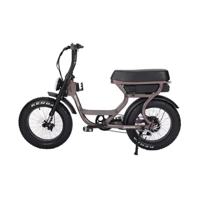 Hot Sell High Power Fatbike Ebike Full Suspension 29 Inch 20Ah Fatbike