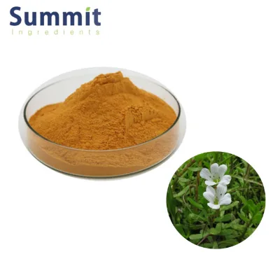 Summit EU Warehouse Fast Delivery Natural Bacopa Monnieri Extract 25%45% Bacopasides Powder