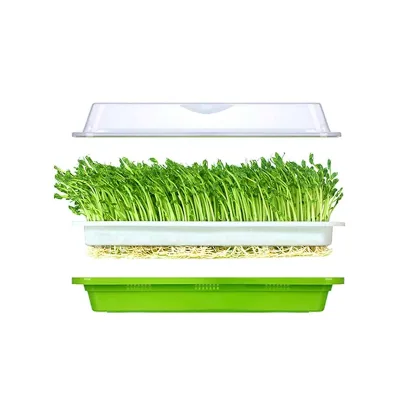 High Quality Tray Bean Sprout Trays for Home Garden