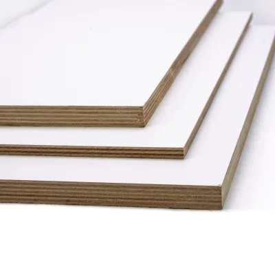 Factory Direct High Quality Birch Melamine Faced Plywood E1 9/12/16mm Modern for Cabinet Wardrobe Hotel Indoor Furniture