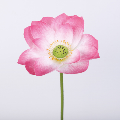 Realistic Floating Live Water Plant Artificial Lotus Flower Aquatic Water Lily for Vase Indoor Pond Aquarium Decoration