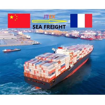 Efficient&Professional International Logistics Company LCL/FCL Service From China Shipping to France