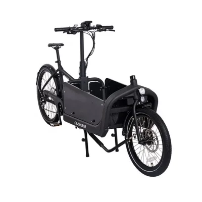 EUROPE STOCK Aluminum Alloy Frame Bike 250W Middle Motor 36V Lithium Battery Disc Brake System Travel Bike