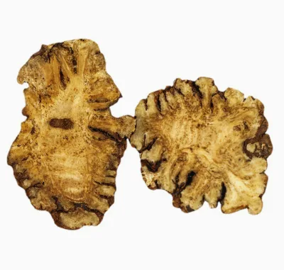 High Grade Raw Dried Ligusticum Wallichii Rhizome Slices for Chinese Herbal Herb