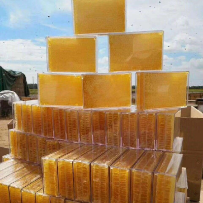 Premium Quality 100% Pure Comb Honey