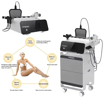Beco 448k Portable Slimming cet ret Monopolar Face Lifting and Physical Beauty Equipment