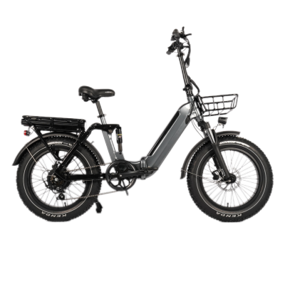 6061 Aluminum Front Mid Dual Suspension Hydraulic Brake Small Folding Fat Tire Electric Step Through Ebike for Male and Female