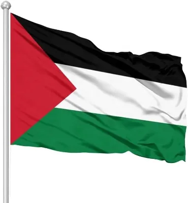 Wholesale Palestine Flag 90x150cm Polyester Waterproof Waving Flag with Custom Colors for Campaigns & Outdoor Use