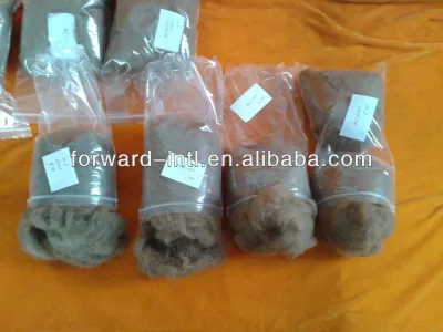 Dehaired Camel Fiber, Camel Wool, Camel Hair Low Price